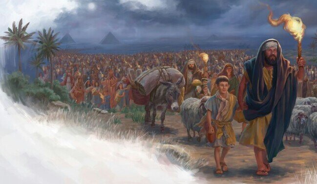 Фото из сети интернет