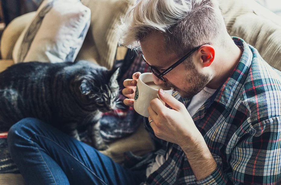 Хотите зарабатывать? Освойте модную профессию: таргетолог.  / Фото: Pexels  / Pixabay.com