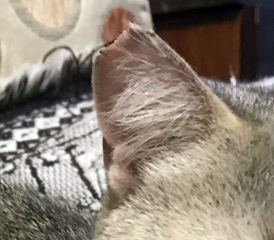 -2