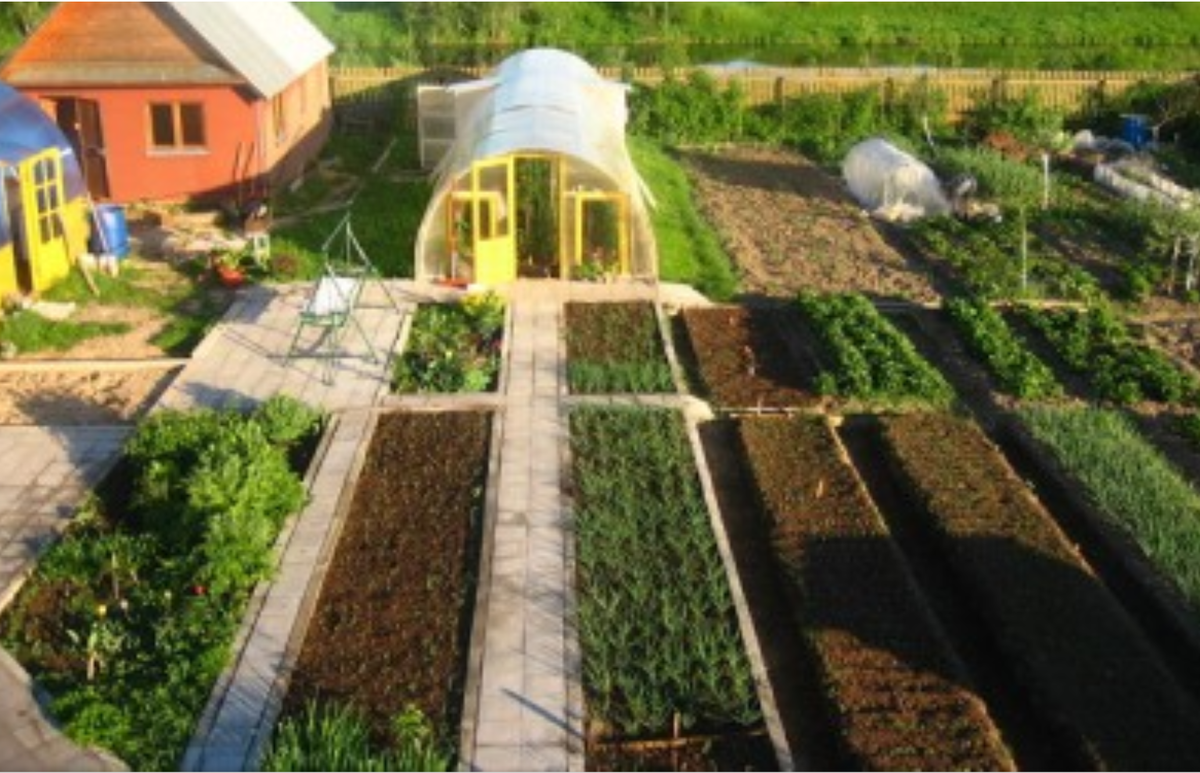 Фото с открытых источников