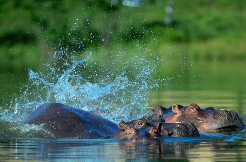 Фото: AFP