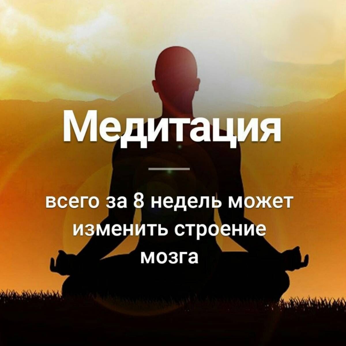 Медитация смешная афоризмы