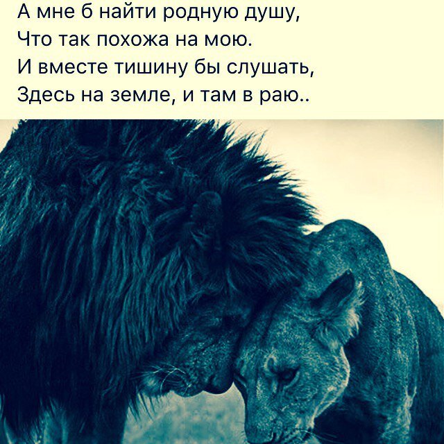 Иллюстрация из источника: https://i.pinimg.com/originals/fa/37/22/fa3722c2a9ef291a3e3c5af593036982.webp 