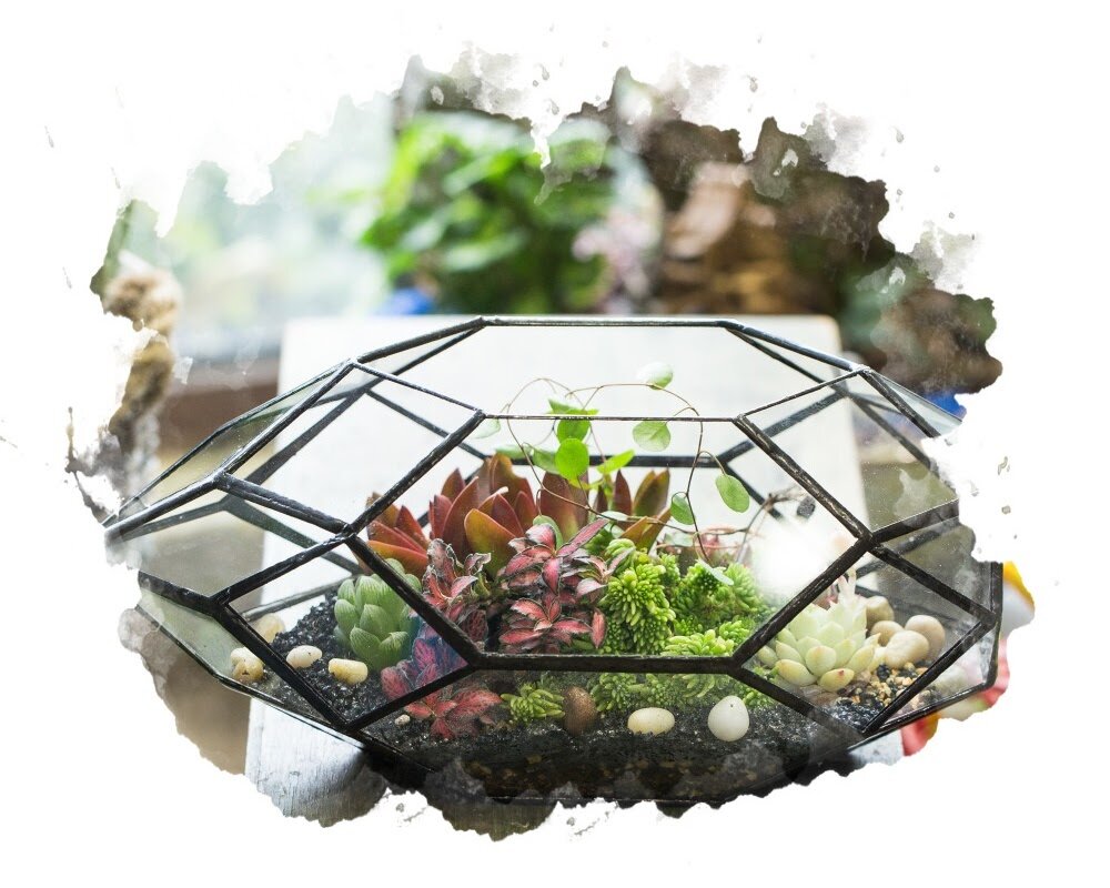 Террариумы для растений