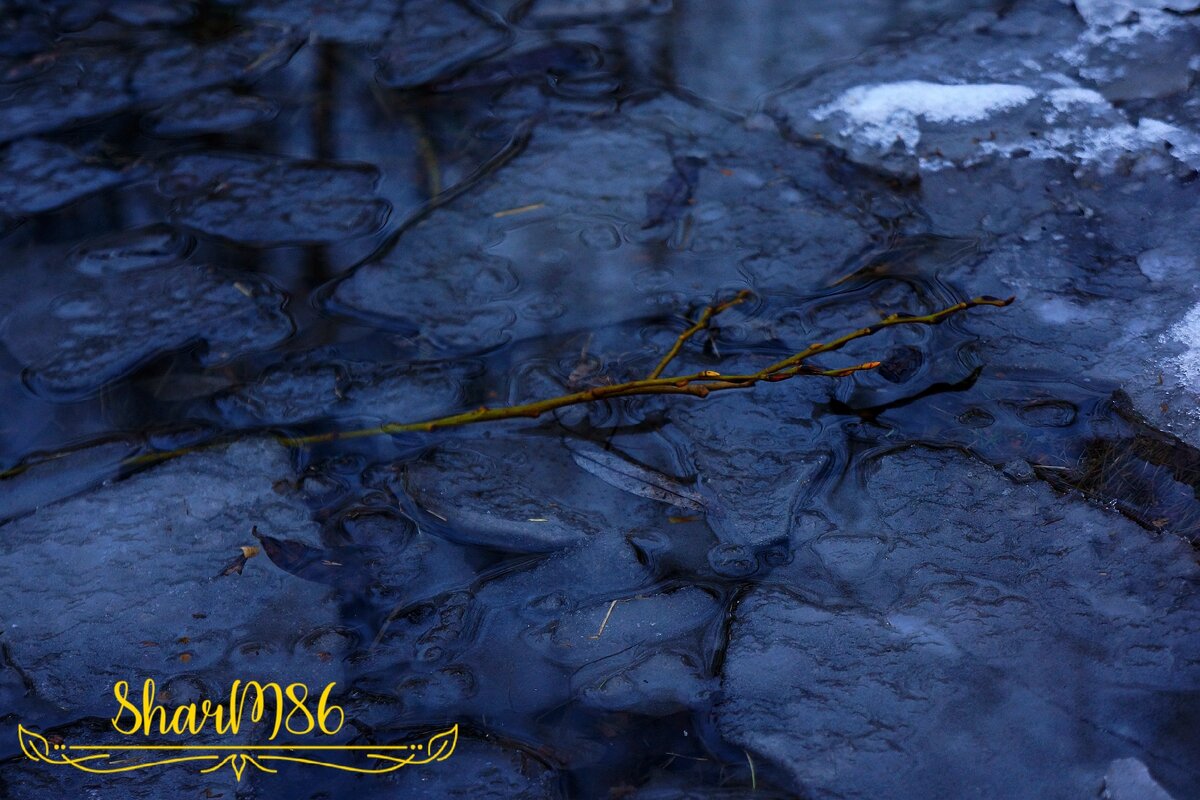 **ЛИЧНОЕ ФОТО**