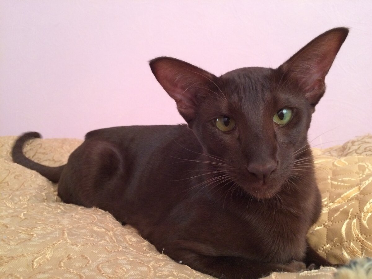 Это я на позитивной волне