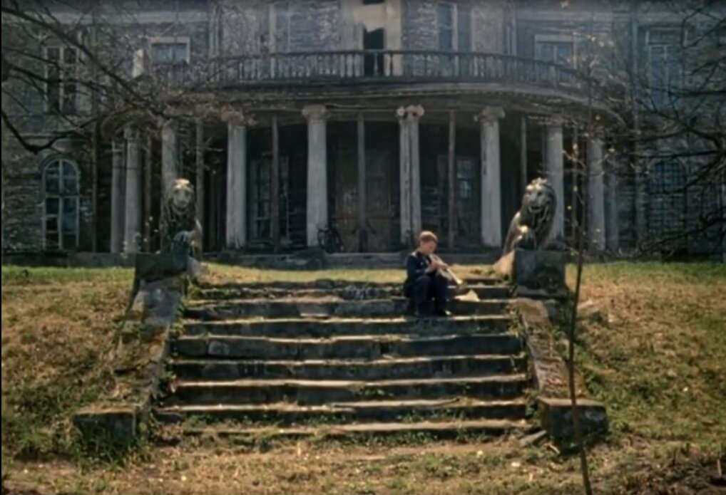 Осиновая Роща в Петербурге : покалеченный парк и полуразрушенная ...