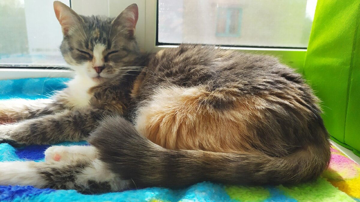 У Муси тихий час