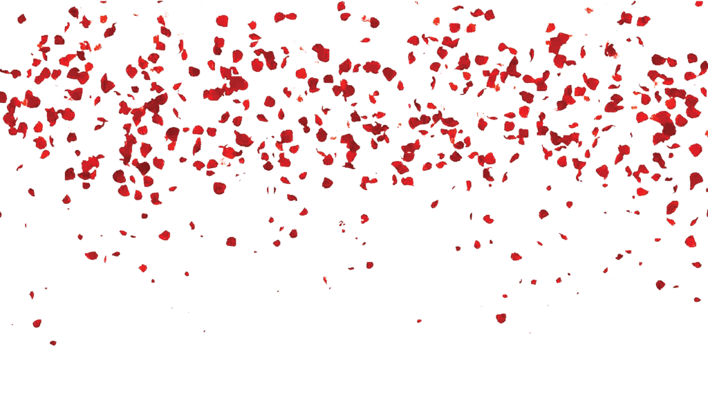 https://i.pinimg.com/originals/36/2d/42/362d420789cfd863398e701b873d1f3b.pn