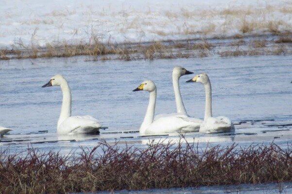 Фото: Виталий Кузьменко
