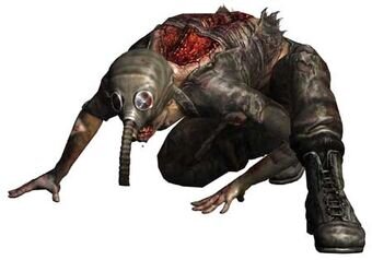 Кстати, пинаются они очень больно