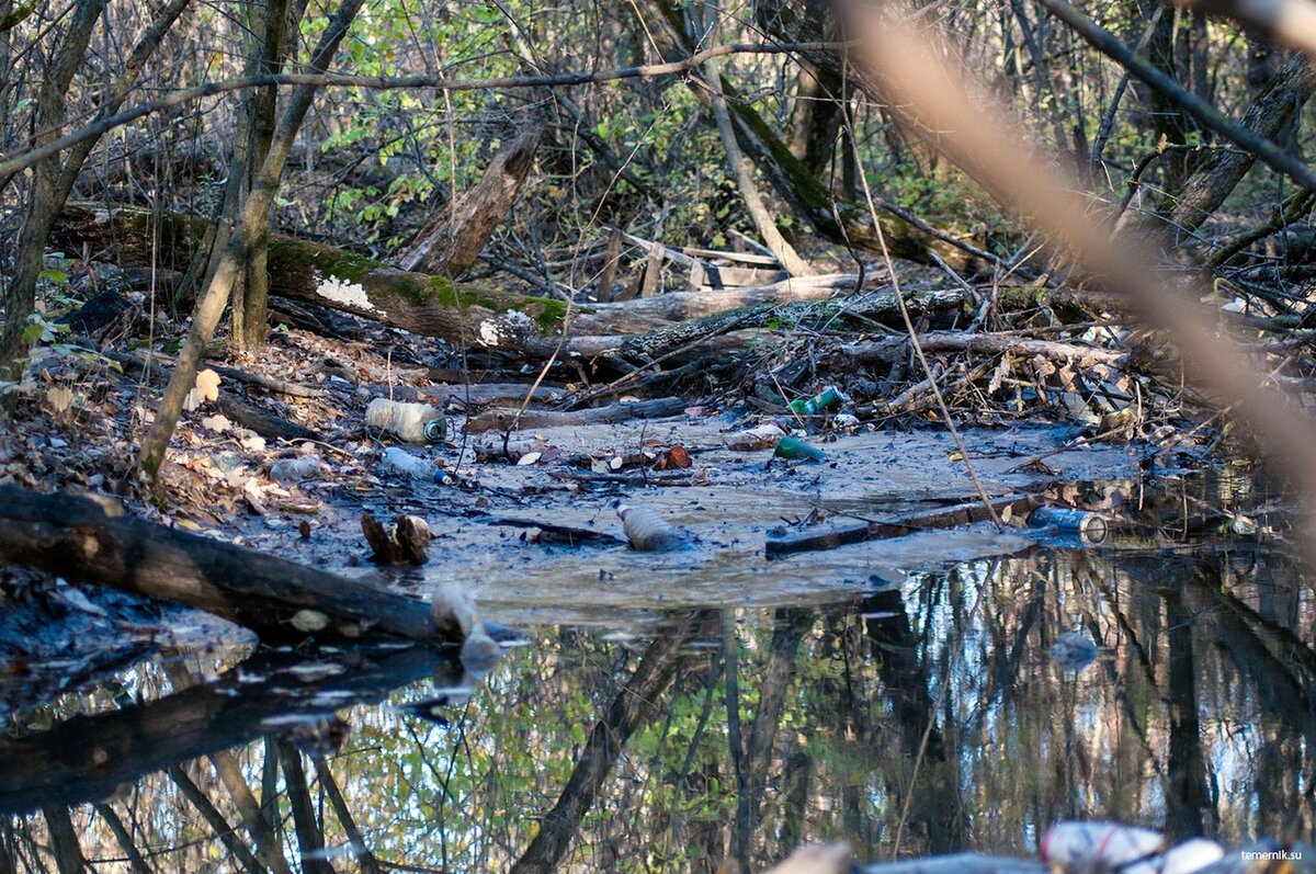 жалко плавки забыл, а так бы точно искупался