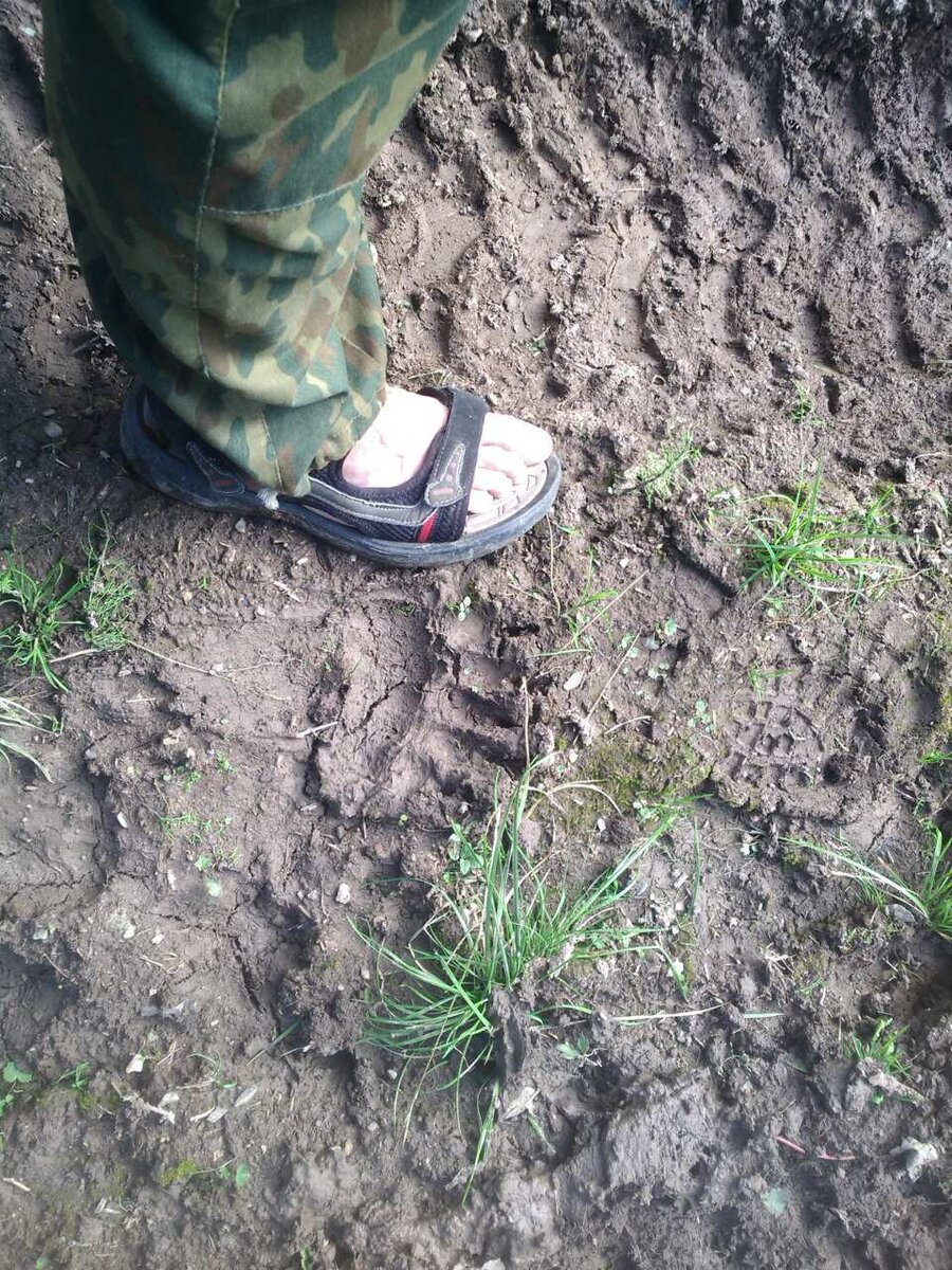 След хозяина тайги