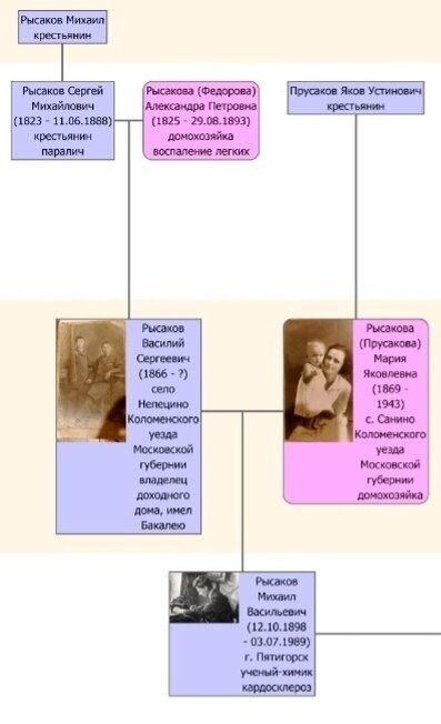 скриншот малой части моего древа