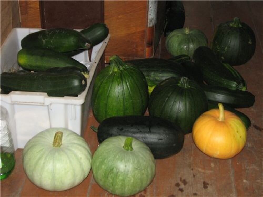 и куда это девать?