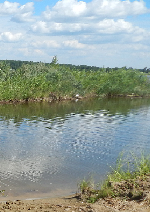 Шуралка по колено.