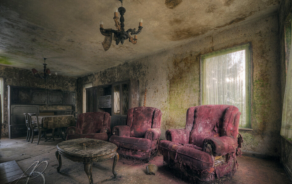 Причины возникновения плесени и грибка.