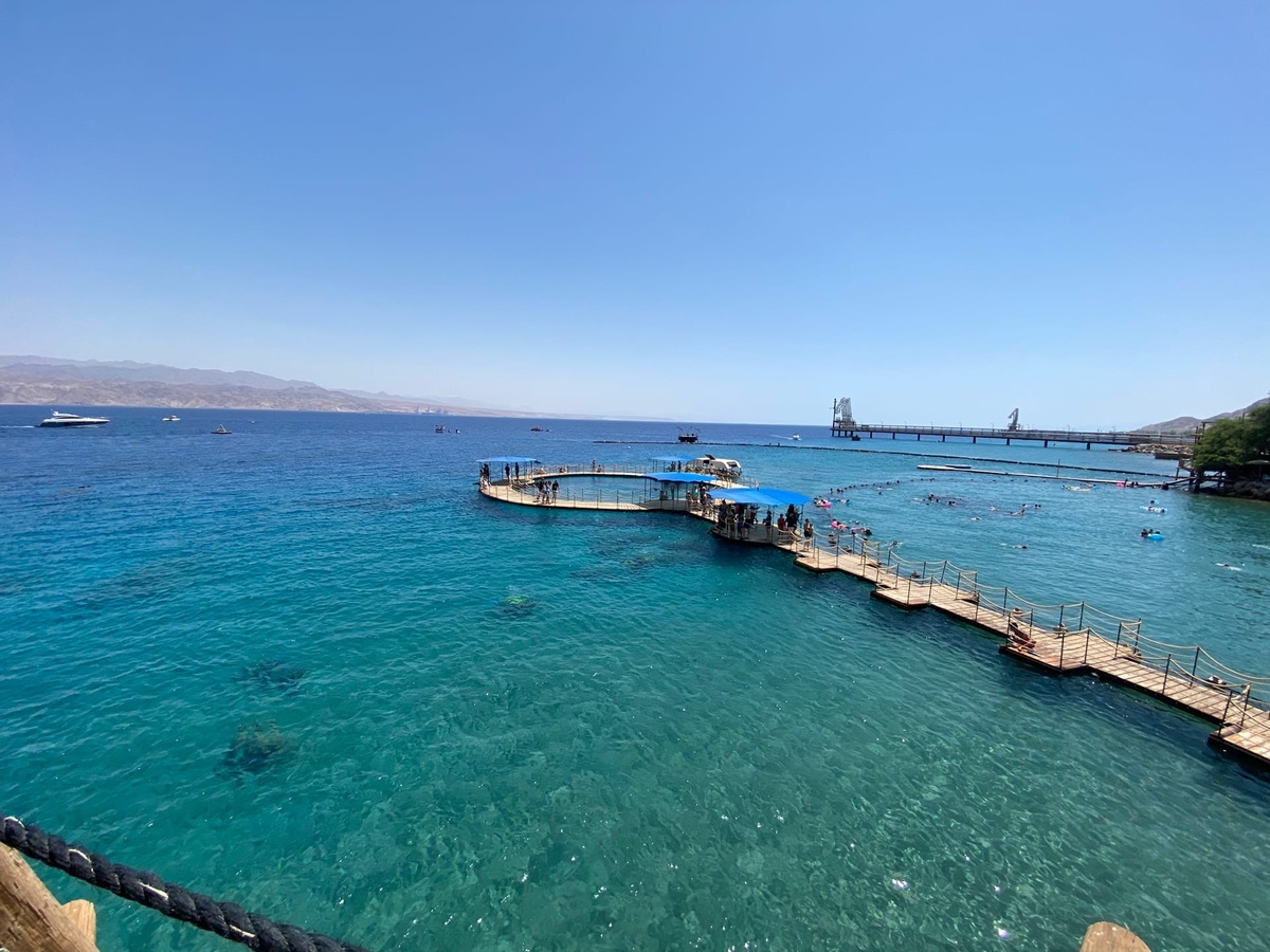 Дельфиний риф