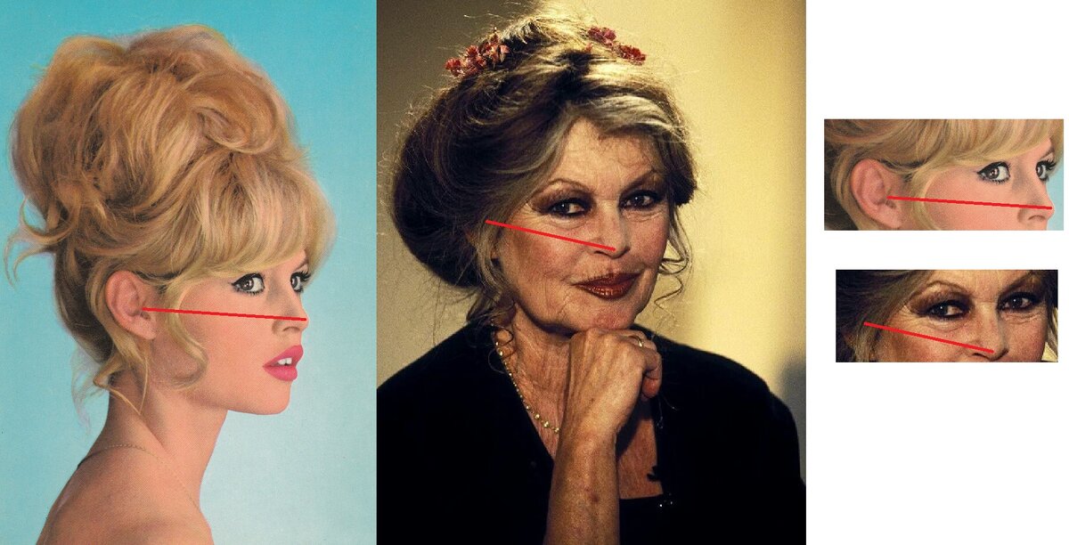 Какой же красавицей Бриджит Бордо была в молодости.