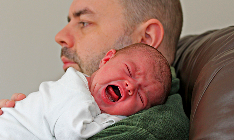 Источник: Яндекс Картинки