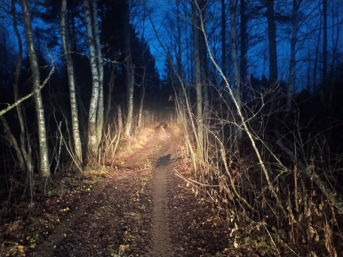 Дорога вникуда