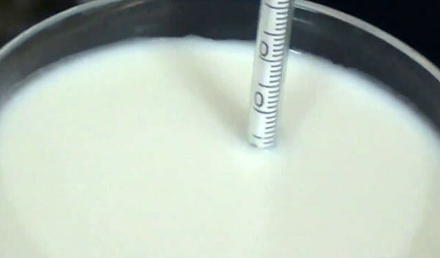 Купленное молоко ― соленое: можно ли пить такое