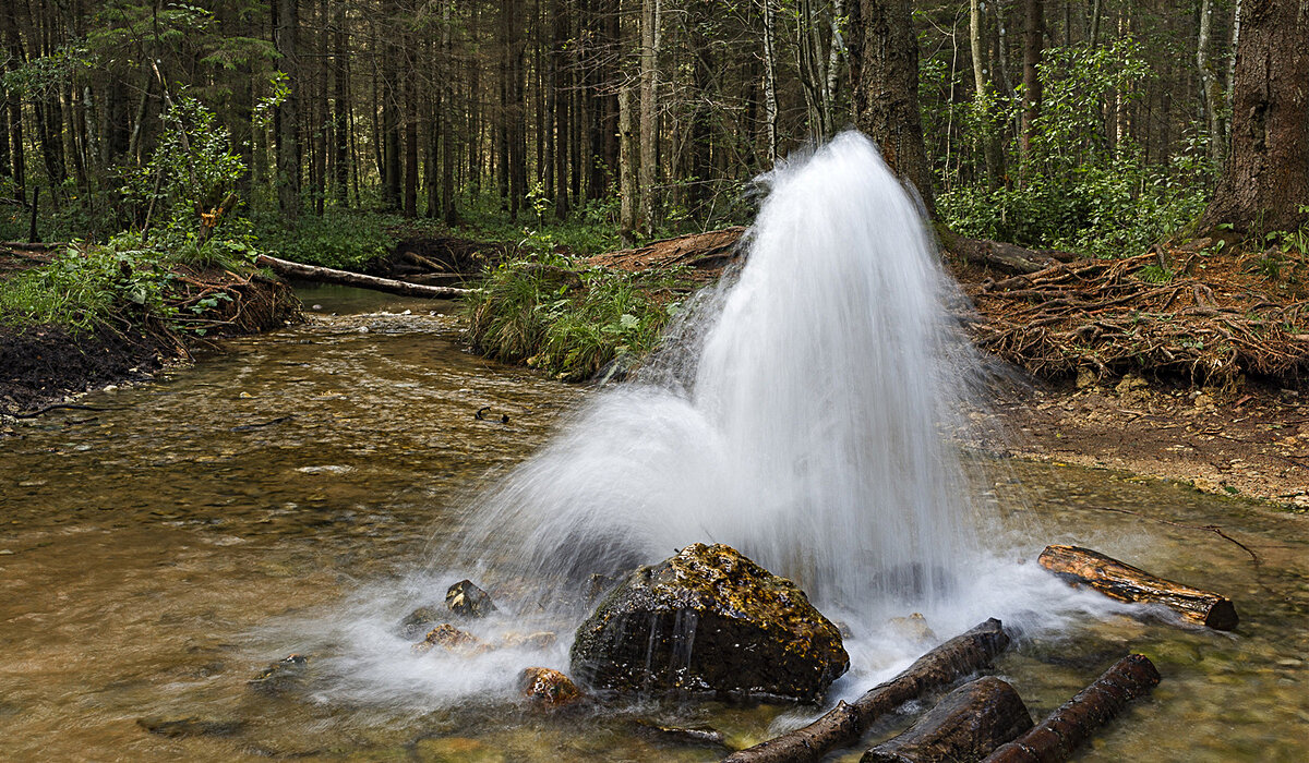 Источник изображения Яндекс картинки: https://clck.ru/RsQY3