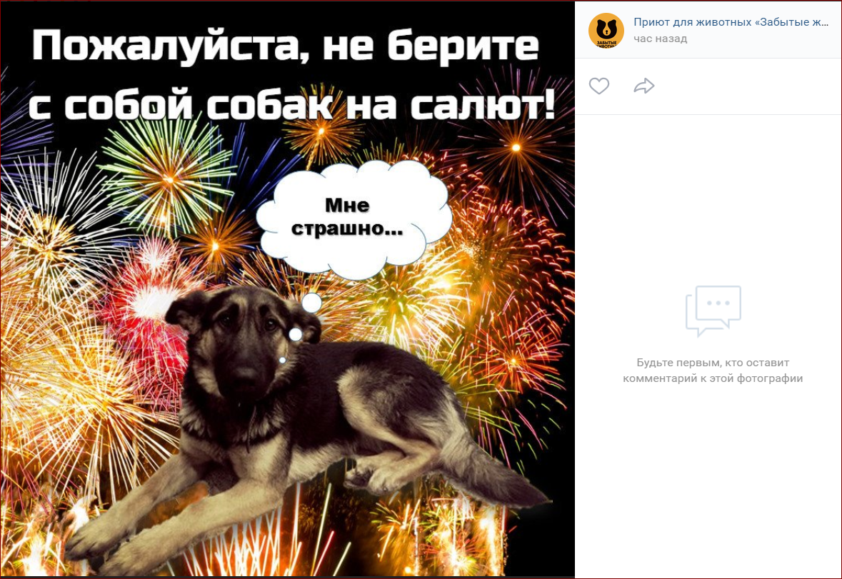 Источник: https://vk.com/zoozov_bs_suoyarvi