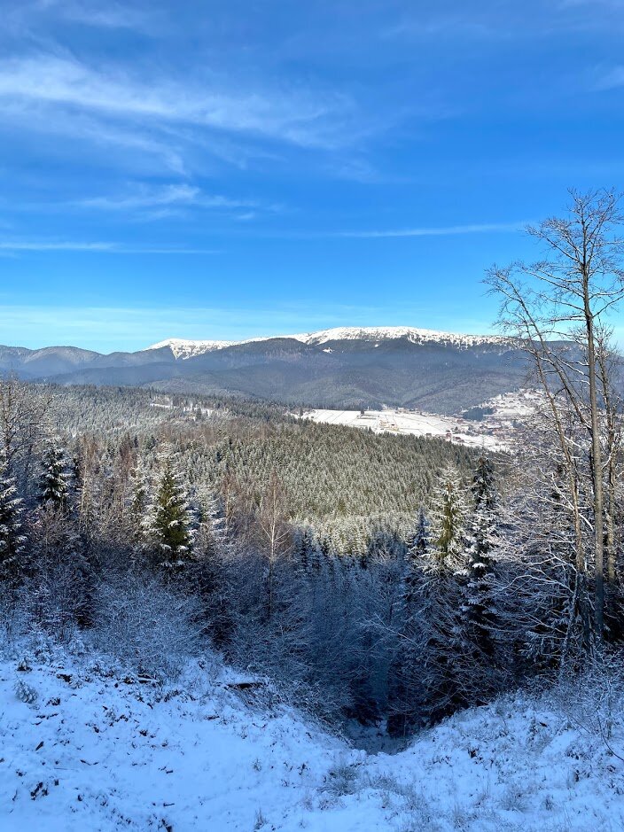 Панорама Карпатских гор близ поселка Поляница