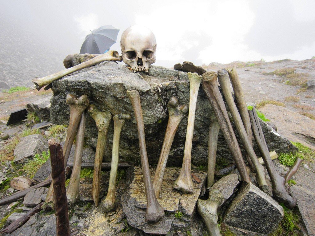 В 1942 году была обнаружена пугающая находка в индийском штате Уттаракханд. Представьте себе озеро, лежащее на высоте 5029 метров над уровнем моря у подножия небольшой долины. В летние месяцы когда-то замерзшая вода начала таять, и ужас, который скрывался внизу, вышел на поверхность. Все озеро было заполнено более чем 500 скелетами.

Сначала была версия, что останки могли принадлежать японским солдатам, захваченным в плен во время войны, и по каким-то причинам умерщвленным британцами. Был вызван следователь с судмедэкспертами, чтобы определить, правда ли это, но кости не были достаточно свежими, чтобы принадлежать солдатам времен второй мировой. В результате было обнаружено, что скелеты датируются еще 850 годом н.э. – благодаря разреженности воздуха и постоянным низким температурам в регионе тела хорошо сохранились.

Изучение этого археологического и криминального феномена длится уже много лет; многие даже утверждают, что это кладбище могло быть результатом древнего ритуального самоубийства. Однако самое интересное объяснение на сегодня – это то, что все эти люди погибли… из-за аномально крупного града: в каждом найденном черепе была обнаружена небольшая глубокая трещина, будто бы смертельные удары исходили откуда-то сверху. Прошло уже больше тысячелетия с момента смерти людей в Озере Скелетов, но у ученых все еще осталось множество вопросов, на которые необходимо ответить.