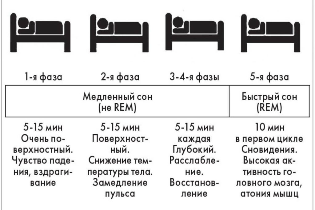 Когда ребенок начинает спать не просыпаясь. Фазы быстрого и медленного сна таблица. Длительность фаз сна. Основные фазы сна. Фаза медленного и быстрого сна их характеристика.