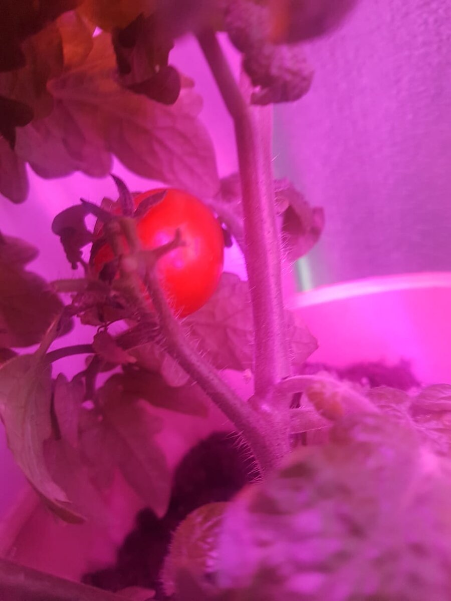 Ну и вот еще один ракурс