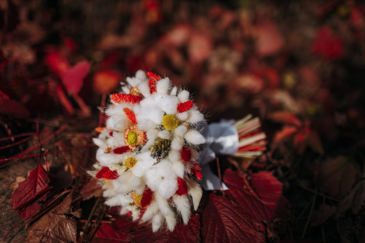 Букет невесты из лагуруса, хлопка, гелихризиума и колосьев