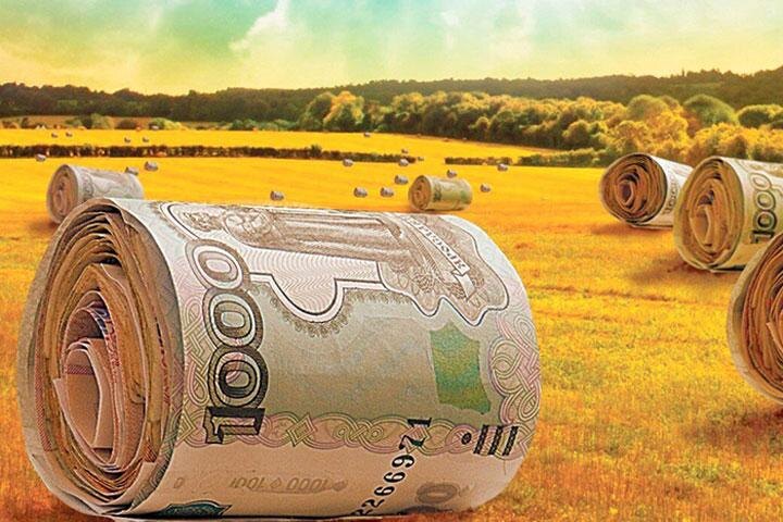 Фото: agrarii.com 