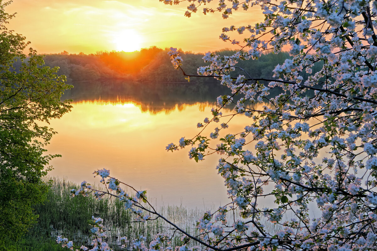 Картинка с интернета