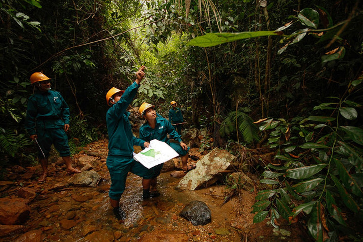 Работа по изучению природы. Селфи во вьетнамском лесу. Loss of Biodiversity in Rainforests. Conservation work. Environmental Crimes in Forests.