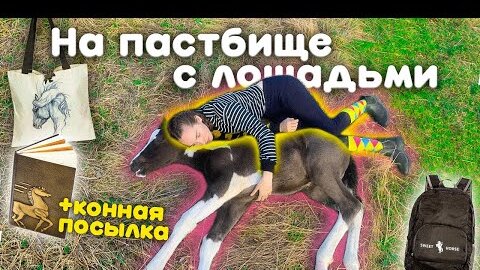 VLOG Тусим с Лошадками / Мини Фотосессия с Жеребёнком