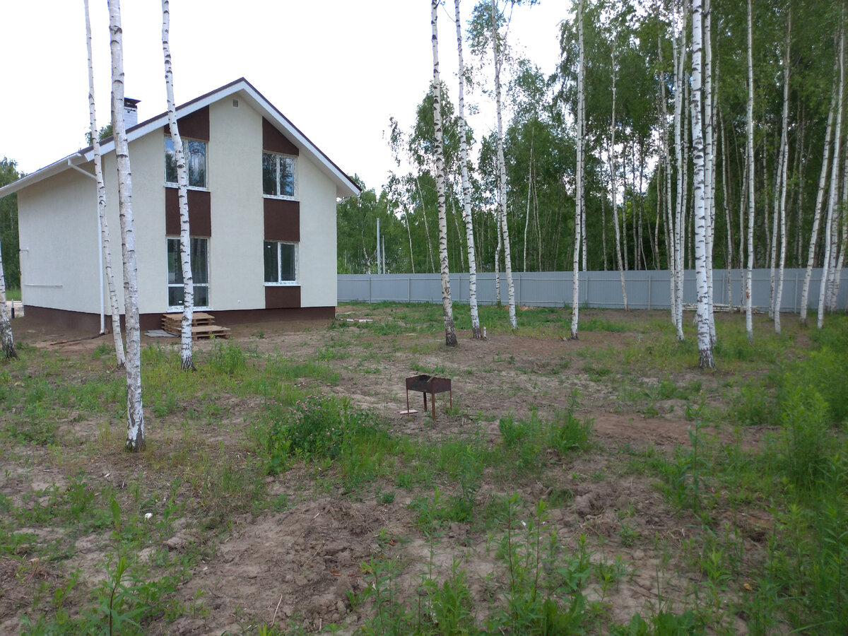 Кругом глина и березы.