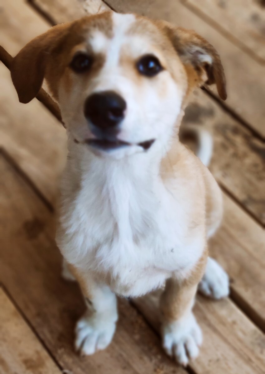 Привет, вы меня  ждали?