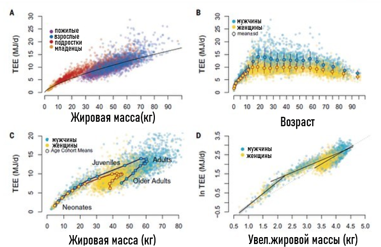 скриншот автора