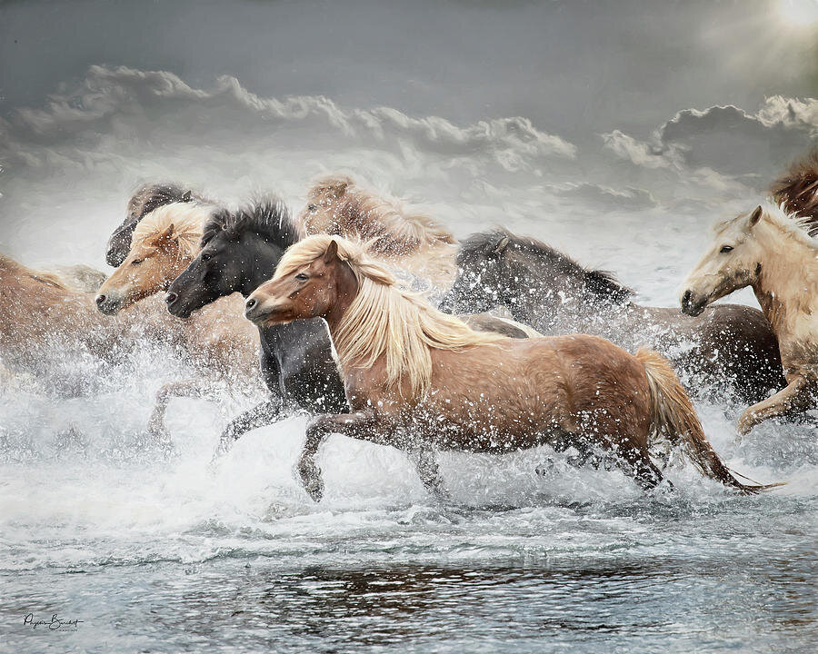 В каких произведениях есть конь. Картина небесные лошади. Небесные кони Китай. Самый красивый лошадь 2022 года.