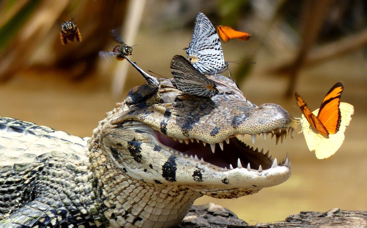 Так неожиданно и так приятно!