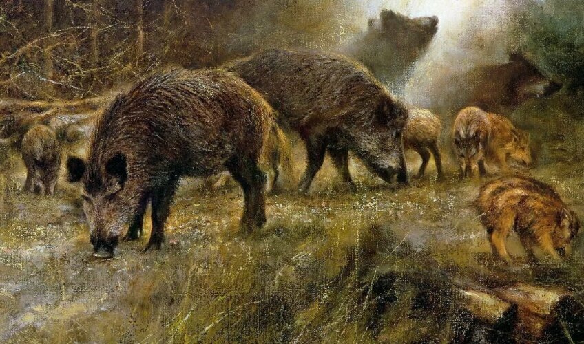 Добавьте описание