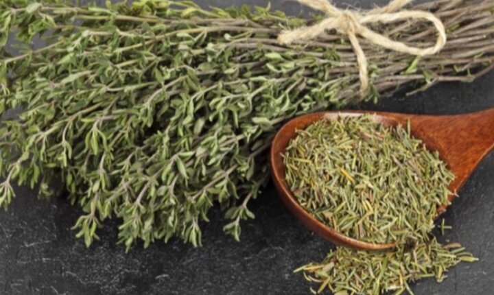 Источник Яндекс. Картинки