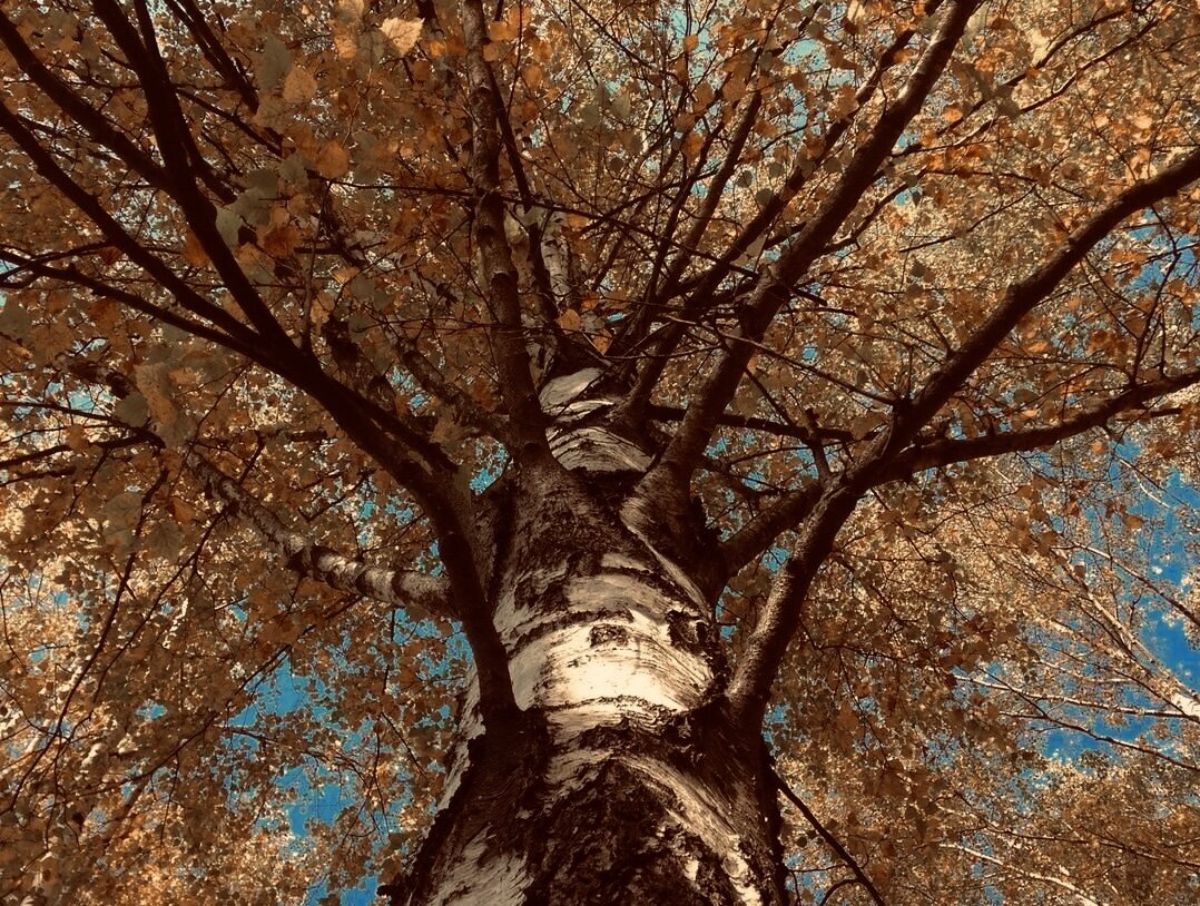 Источник Яндекс Картинки