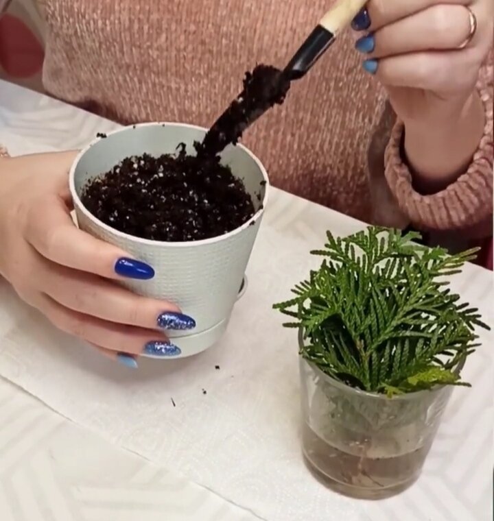 -2
