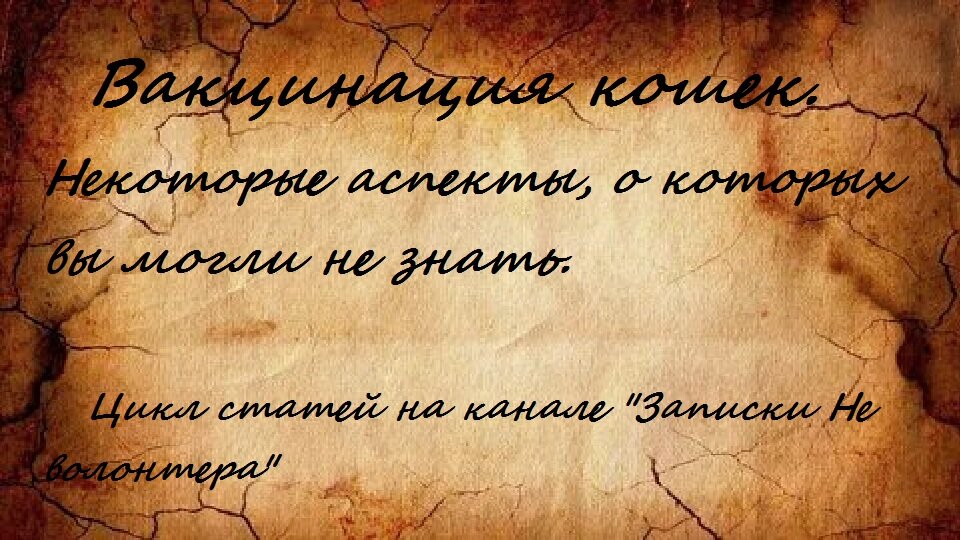 У нас многие свято верят в то, что перед прививкой кошка обязана пройти курс дегельминтизации.