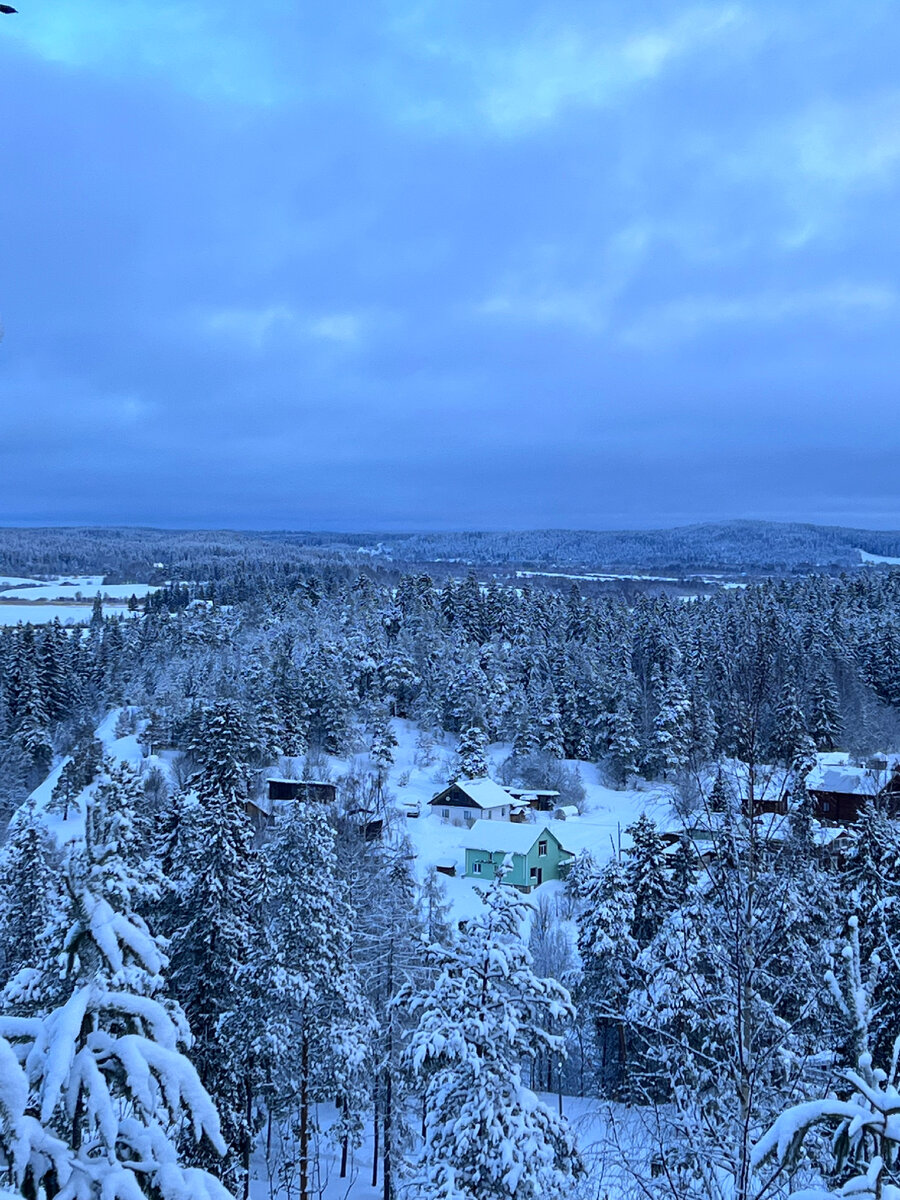Фото: Адам Ачмиз - Пейзажи с лесопарковой зоны