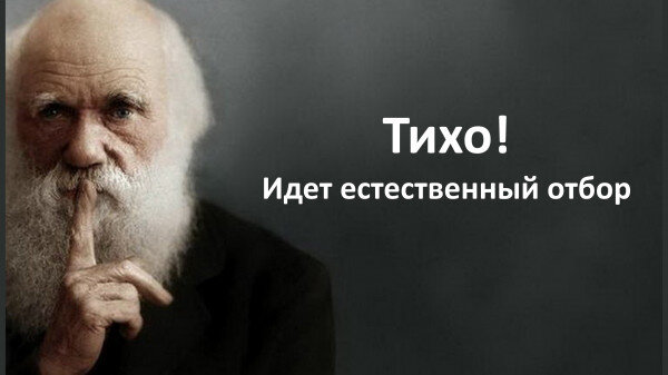 источник фото https://www.anekdot.ru/i/caricatures/normal/20/4/9/idet-otbor_70091.jpg