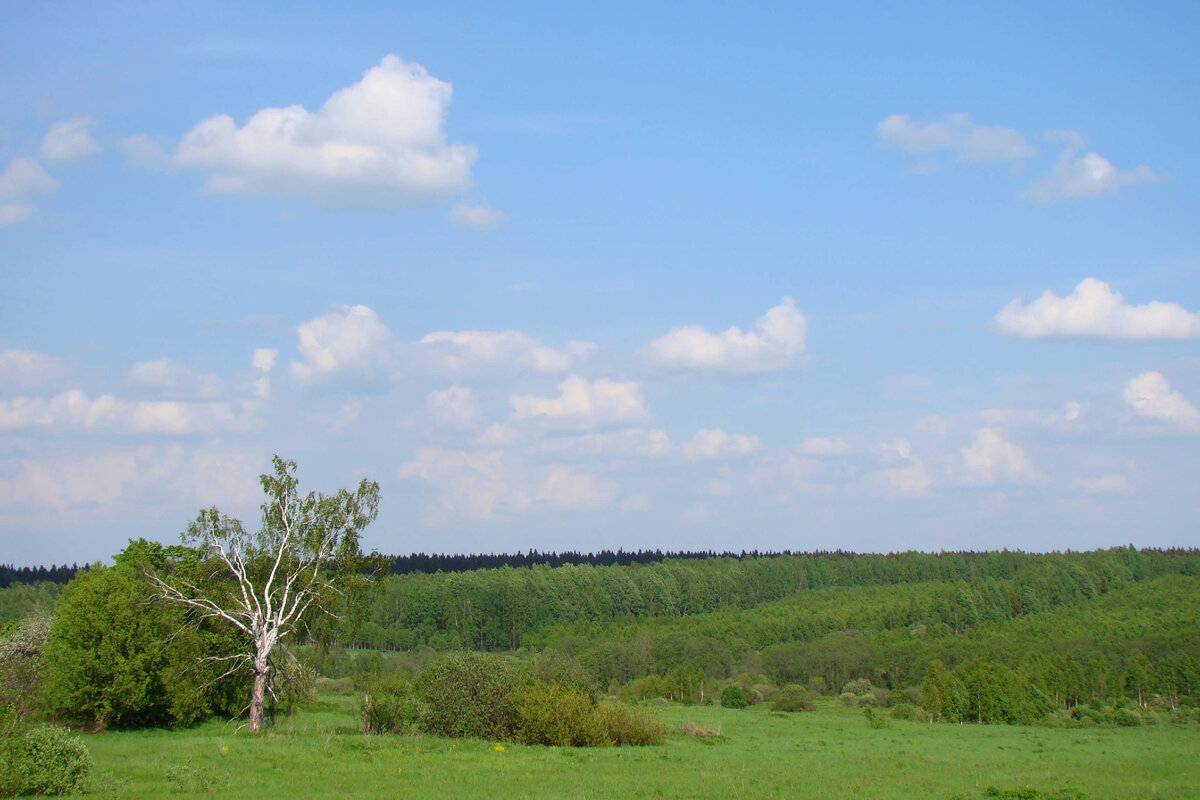 Фото автора.